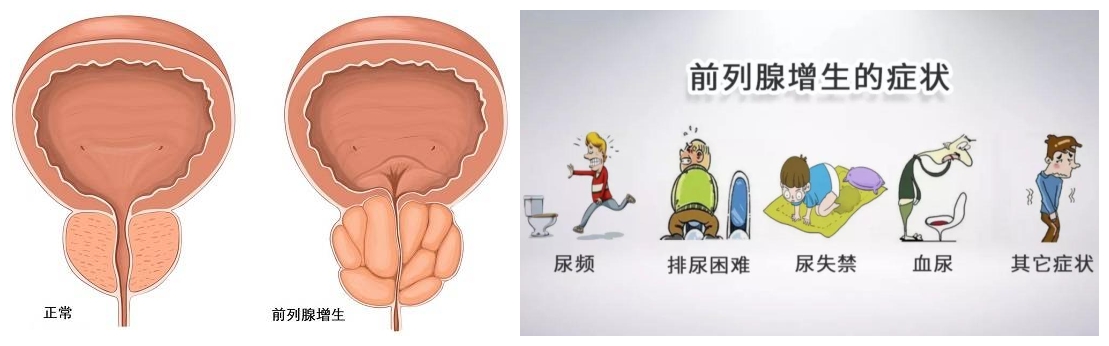 1638517220341927.jpg 7_副本.jpg